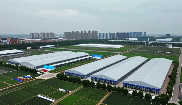 本地生活服务软件开发中的常见问题与解决策略